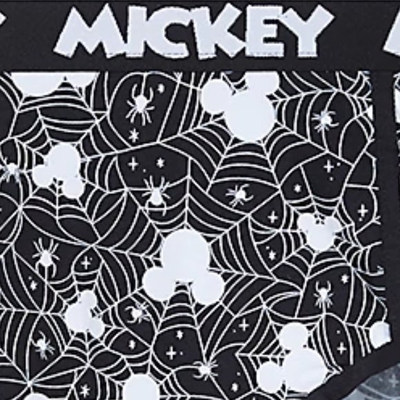 ❤️NWT VINTAGE TORRID DISNEY MICKEY MOUSE SPIDER WEB HALLOWEEN CHEEKY PANTY - Picture 2 of 14